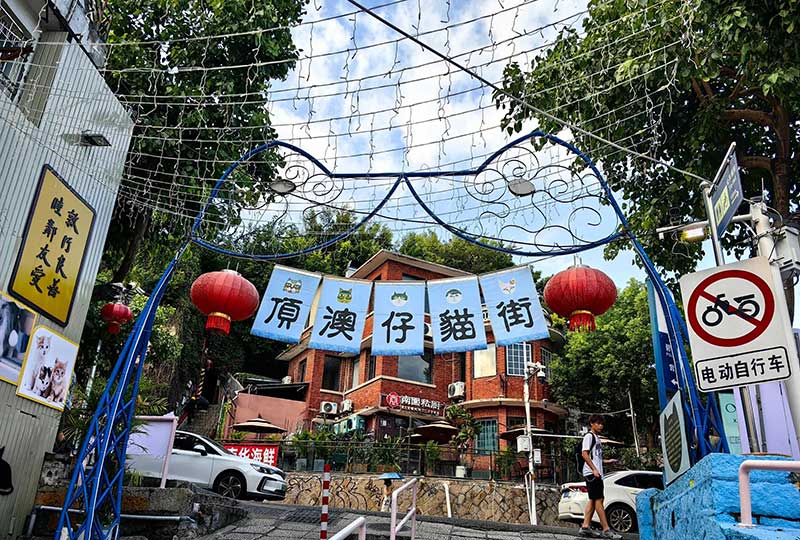 顶澳仔猫街