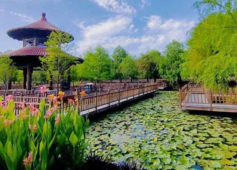 五缘湾湿地公园